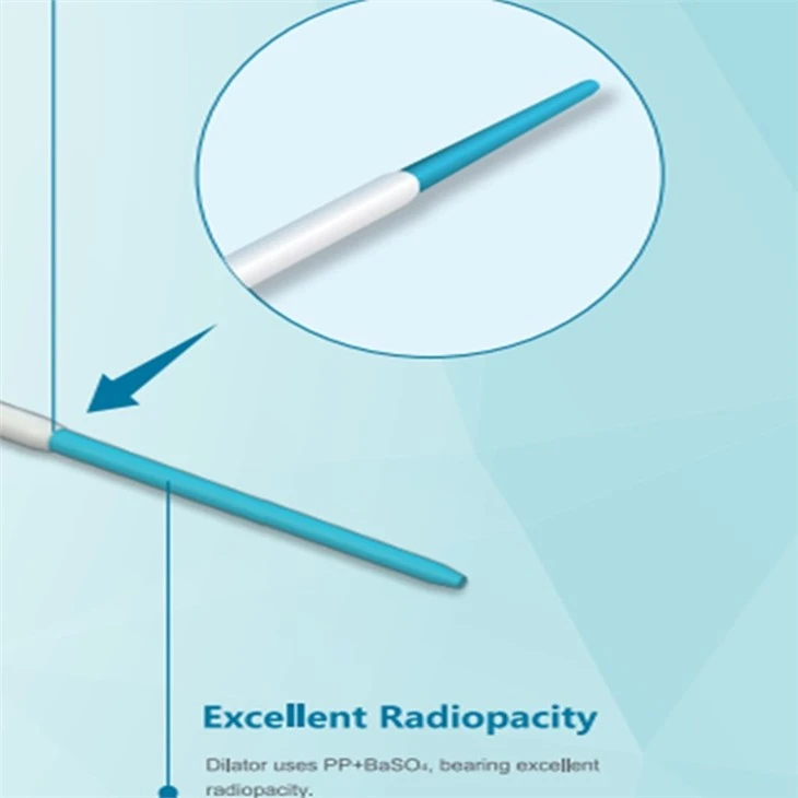 Ce/ISO13485 Proved Popliteal Artery Introducer Sheathwith Develop Sheath Catheter