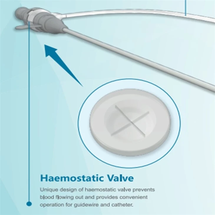Ce/ISO13485 Proved Popliteal Artery Introducer Sheathwith Develop Sheath Catheter